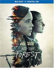 Into The Forest