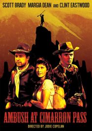 Ambush At Cimarron Pass / (ws B&w) (DVD)