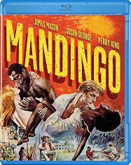 Mandingo